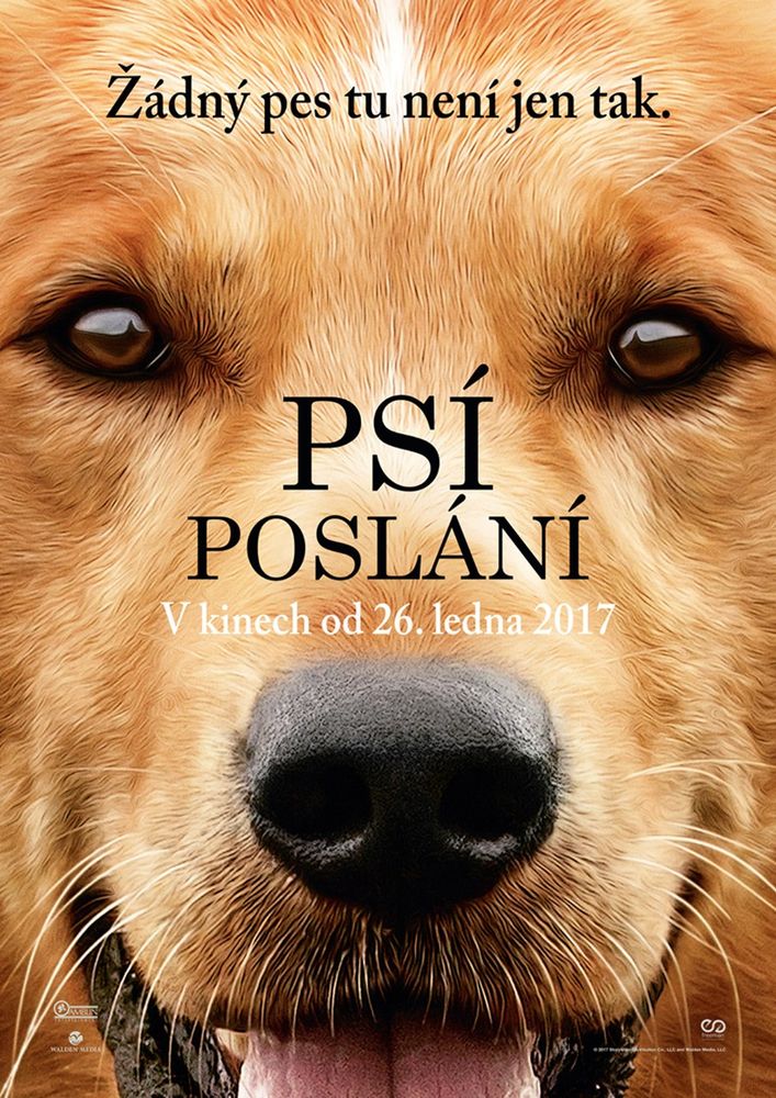 Psí poslání (2017)